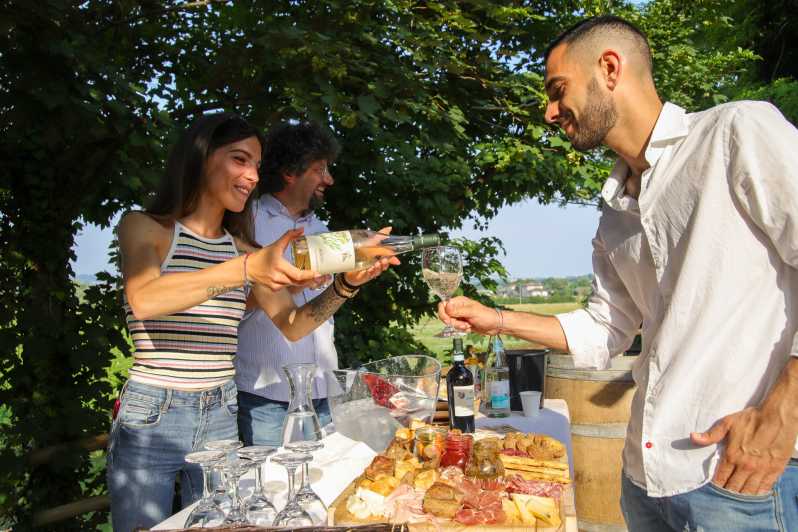 Lazise: Biodynamic Farm Tour and Natural Wine Tasting - Walking through vineyards, gardens, and animal areas