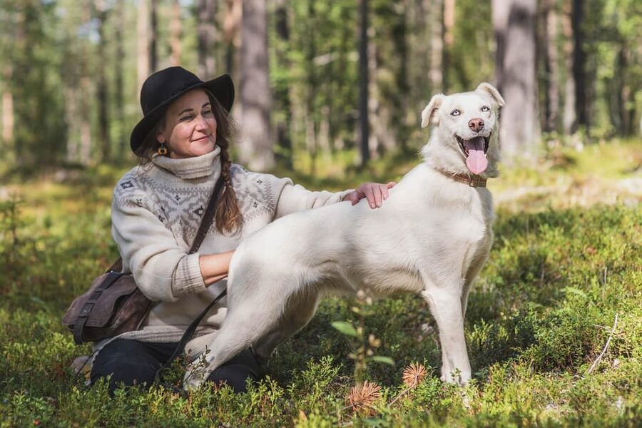 Levi: Horse and Husky Farm Visit with Juice and Cookies - Meeting the Alaskan Huskies