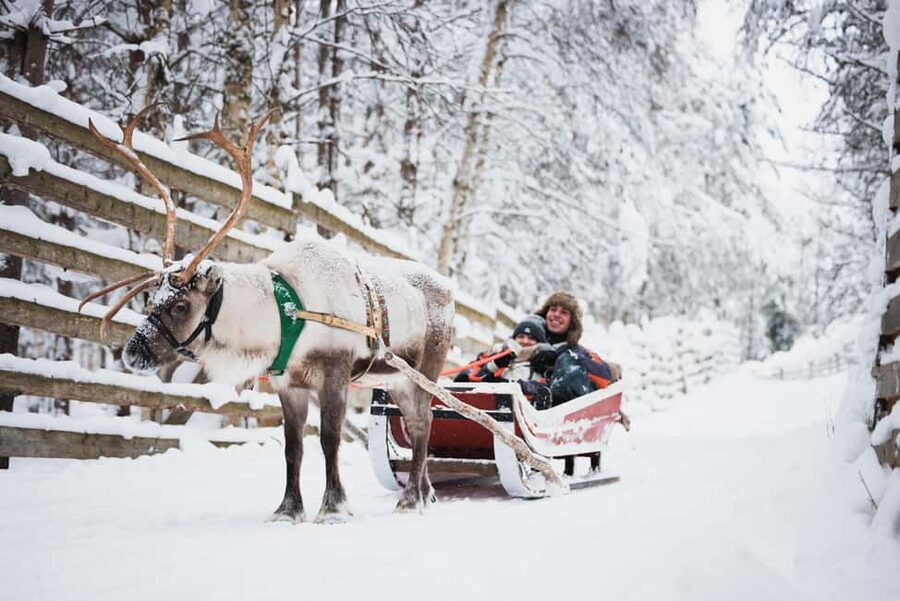 Levi: Husky and Reindeer Farm Tour with Sled Ride - Leaving Levi for a Lapland farm