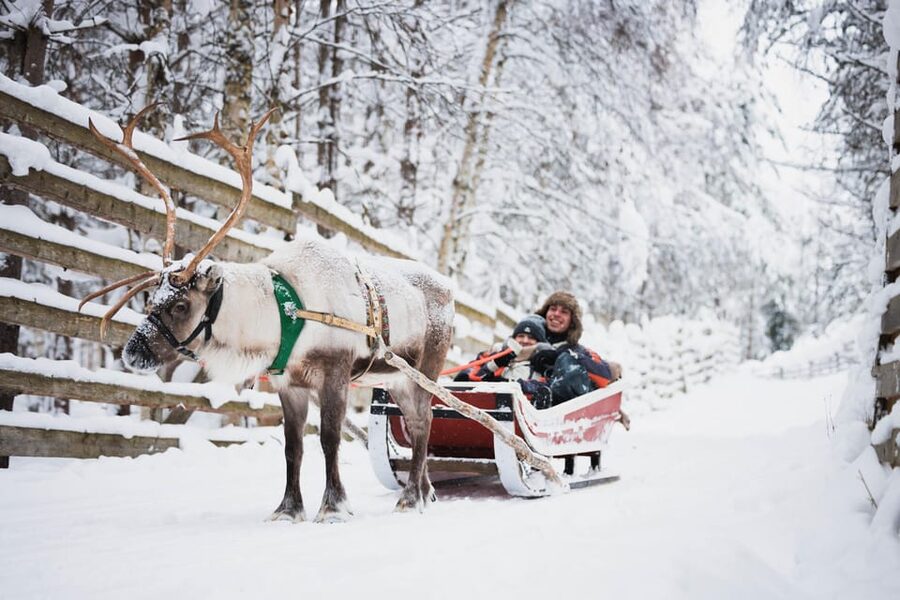 Levi: Husky and Reindeer Farm Visit with Snowmobiling - A compact introduction to Levi’s Arctic traditions