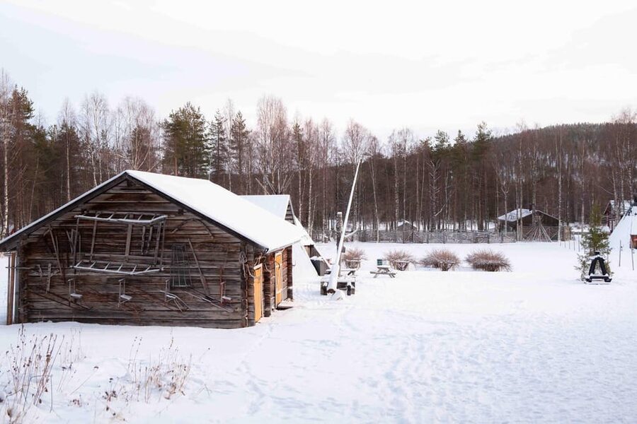 Levi: Reindeer Farm E-Fatbike Safari - Key Things to Know