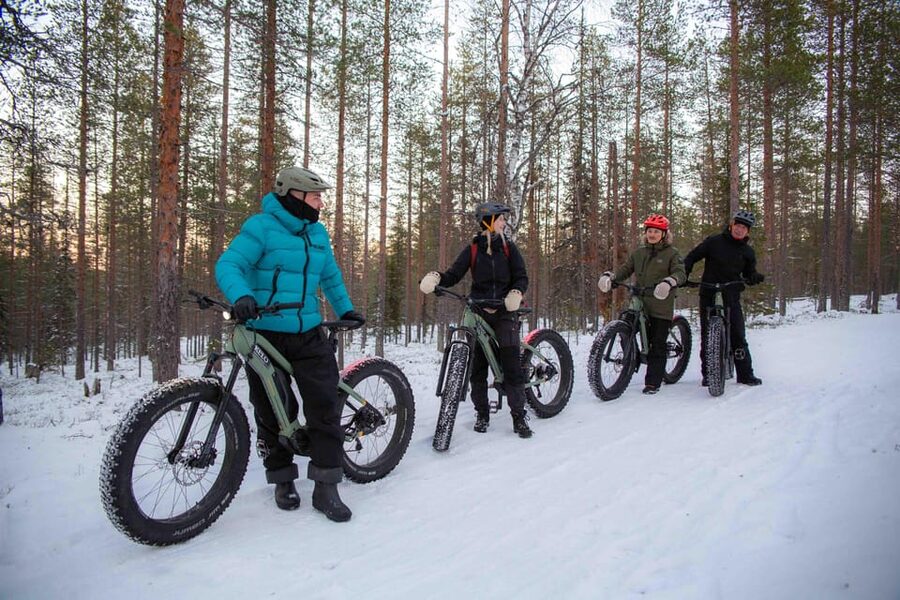 Levi: Reindeer Farm E-Fatbike Safari - The Winter Scenery Along the Route