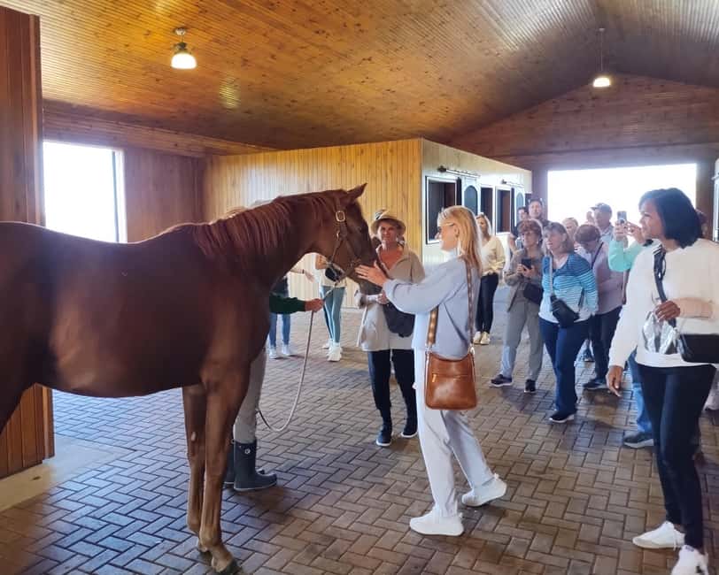 Lexington: Thoroughbred Horse Farm Tour and Scenic Bluegrass - Key points to know before you go