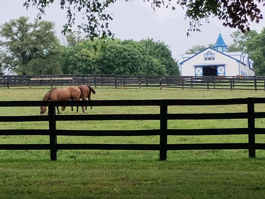 Lexington: Thoroughbred Horse Farm Tour and Scenic Bluegrass - Why Lexington is the right place to learn about Thoroughbreds