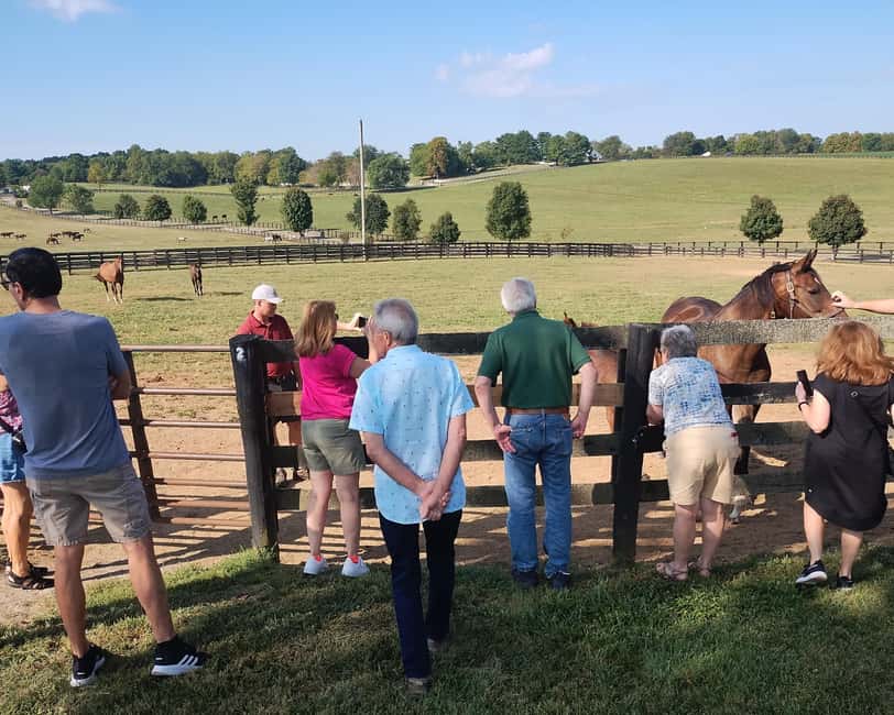 Lexington: Thoroughbred Horse Farm Tour and Scenic Bluegrass - The drive through Bluegrass country