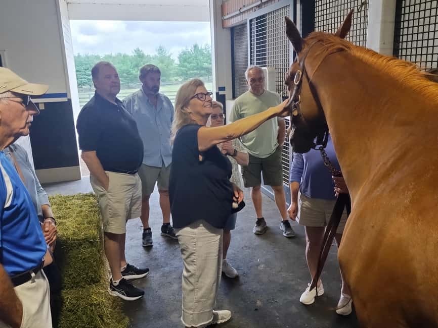 Lexington: Thoroughbred Horse Farm Tour and Scenic Bluegrass - Visiting working Thoroughbred farms