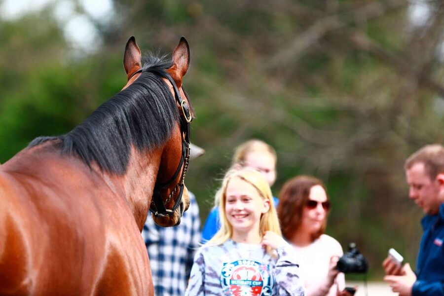 Lexington: Thoroughbred Horse Farm Tour and Scenic Bluegrass - Keeneland, racing, and famous film locations