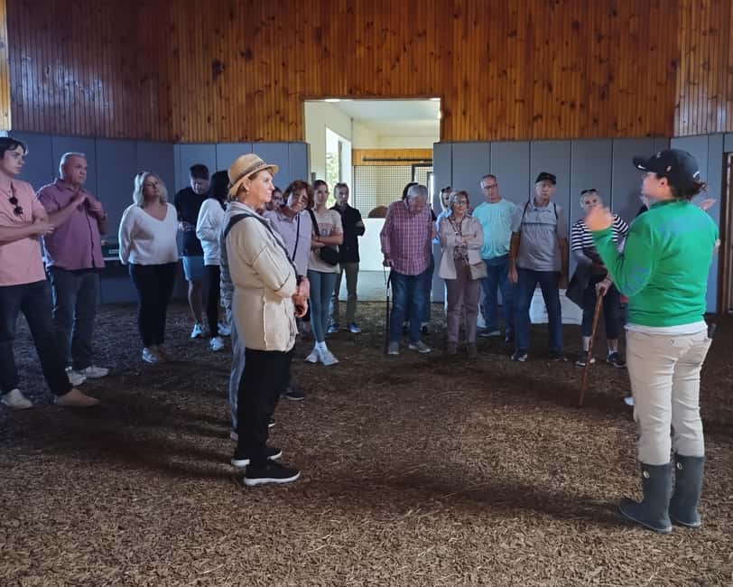 Lexington: Thoroughbred Horse Farm Tour and Scenic Bluegrass - Who should book this tour?