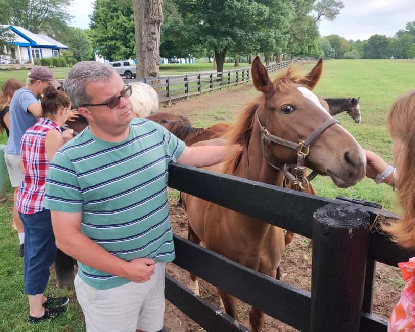 Lexington: Thoroughbred Horse Farm Tour and Scenic Bluegrass - Starting at Waller Avenue