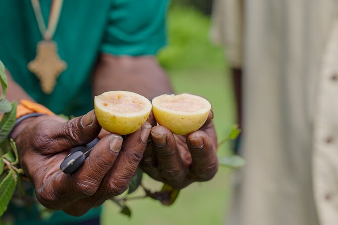 Liamuiga Natural Farm Tour - St.Kitts' Coffee Farm - The farm-to-table breakfast or lunch