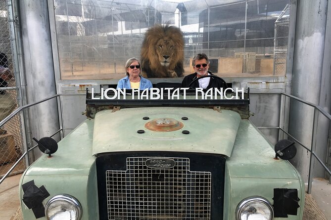 Lion Habitat Ranch Admission Ticket in Las Vegas - Meeting Ozzie, the giraffe