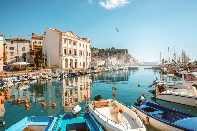 Lipica stud farm and Piran Tour from Ljubljana - Piran, Slovenia’s Venetian seaside town