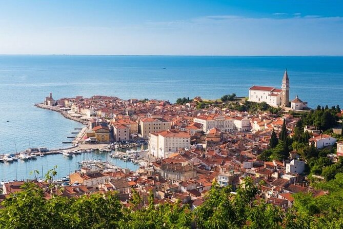 Lipica stud farm and Piran Tour from Ljubljana - Tartini Square, lunch, and free time