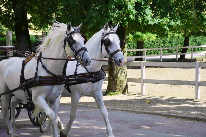 Lipica Stud Farm and Skocjan Caves from Koper - The regional park above the caves