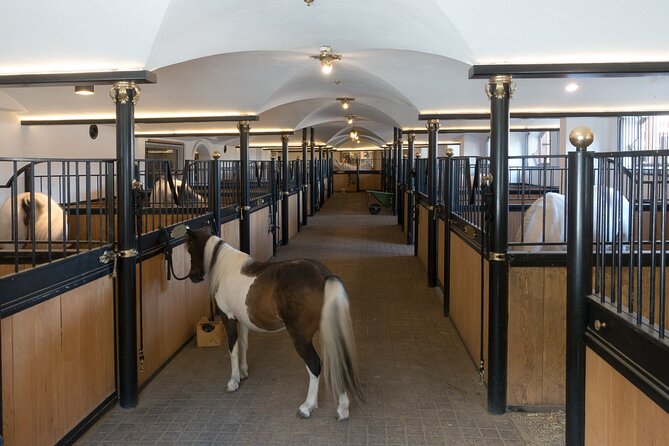 Lipica Stud Farm and Skocjan Caves from Koper - What the guide adds