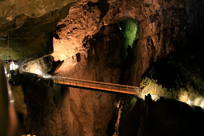 Lipica Stud Farm and Skocjan Caves from Koper - Lipica and the white horses
