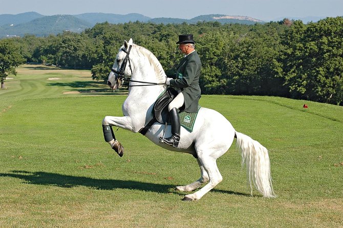 Lipica Stud Farm- Private Experience from Koper - Optional food at a family-run restaurant