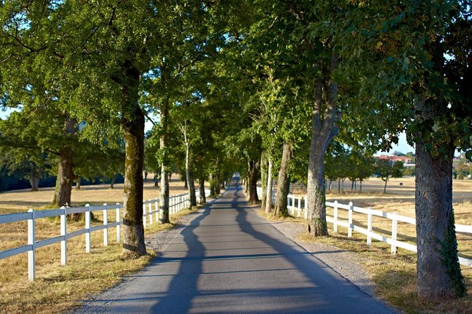Lipica Stud Farm- Private Experience from Koper - What is included and what is not