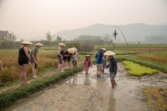 Living Land Rice Farming Experience - From rice grain to snack