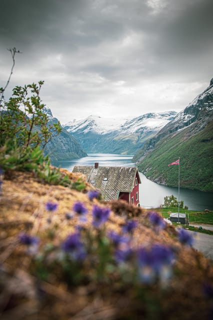 Ljøen, Hellesylt: Ljøen Farm Tour - Why this small farm visit feels different