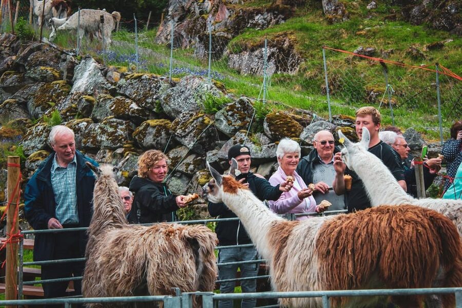 Ljøen, Hellesylt: Ljøen Farm Tour - The view over three fjords