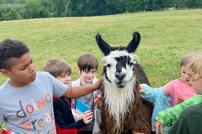 Llama/Alpaca Hike and Farm Tour - Why the $67 price can make sense