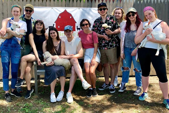 Llama/Alpaca Hike and Farm Tour - Who will enjoy this Catskills farm outing