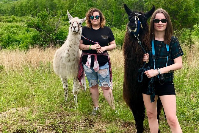 Llama/Alpaca Hike and Farm Tour - FAQ