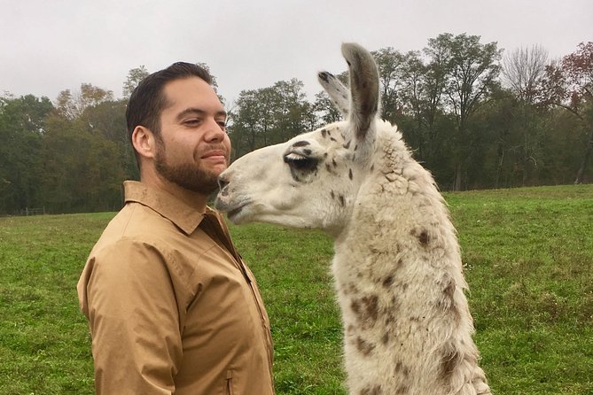 Llama/Alpaca Hike and Farm Tour - What makes the animal encounters worthwhile