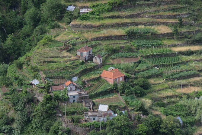 Local Farmers Market and 4WD Experience from Funchal - A brief look at Santo da Serra Golf Club