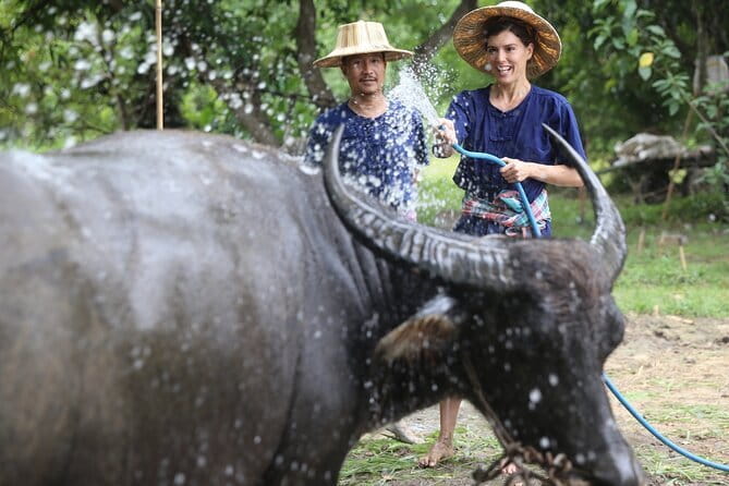 Local Farming Experience in Chiang Mai, Thailand - Why this small farm experience feels different