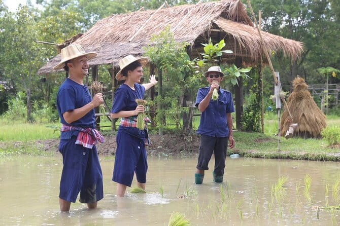 Local Farming Experience in Chiang Mai, Thailand - Is $58.60 a fair price?