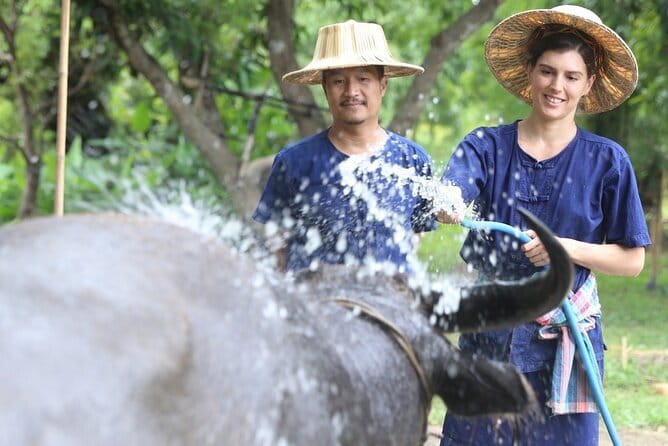 Local Farming Experience in Chiang Mai, Thailand - Working beside Uncle Serd in the rice nursery