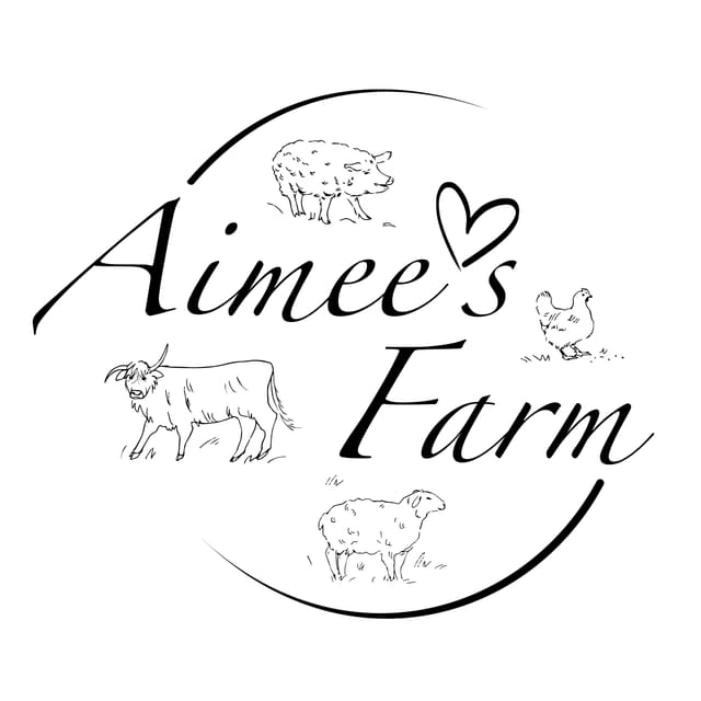 Lofoten (Stamsund and Leknes): Aimees Farm Experience - Why the $173 price can make sense