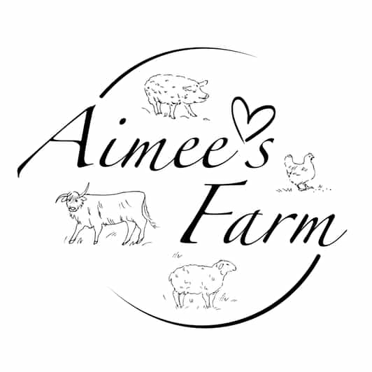 Lofoten (Stamsund and Leknes): Aimees Farm Experience - Meeting the Highland cattle and Mangalitsa pigs