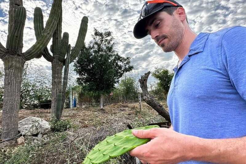 Los Cabos: Azteca Cactus Taco Farm to Table Cooking Class - The interpretive beach walk after the meal