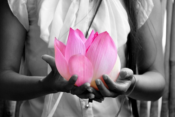 Lotus Silk Farm: Discover Learn and Experiment the Lotus Flower - Six Lotus Workshops With Something to Take Home