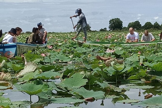 Lotus Silk Farm: Discover Learn and Experiment the Lotus Flower - Starting With Lotus Tea and Local Craft