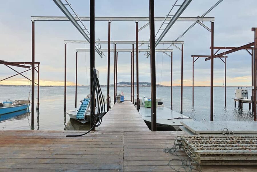 Loupian: Tour guide of our oyster farm and tasting - Seeing how oysters are raised in the Thau basin