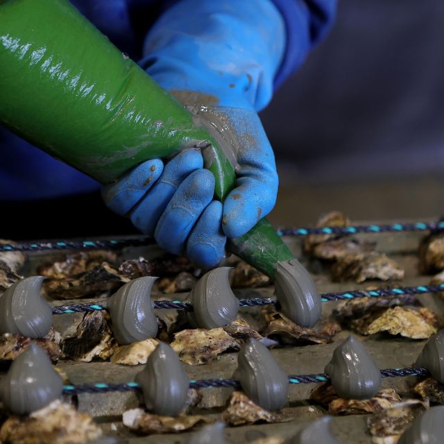 Loupian: Tour guide of our oyster farm and tasting - How long the visit feels
