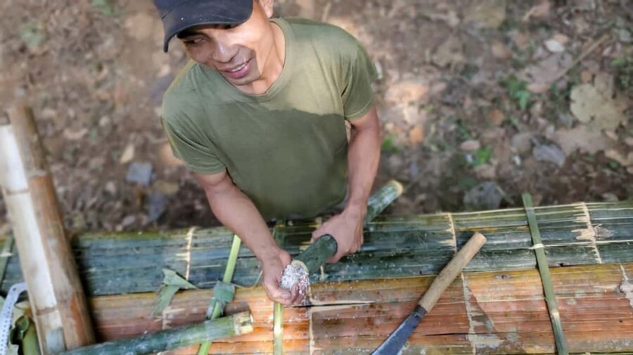 Luang Prabang: Bamboo Forest Cooking-class & Farm Visit - Walking into the primary forest