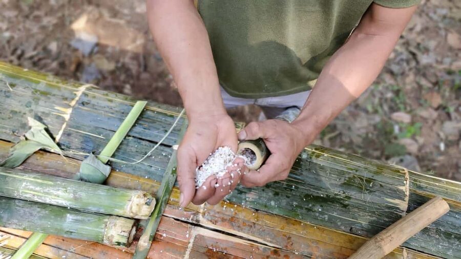 Luang Prabang: Bamboo Forest Cooking-class & Farm Visit - The practical drawbacks to consider