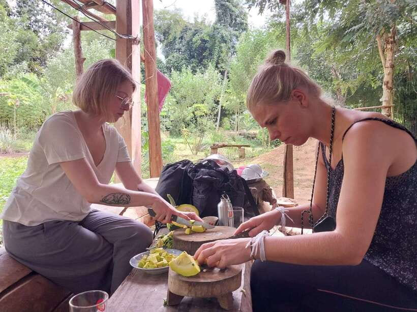 Luang Prabang: Organic Farm Experience & Hike to Kuang si - Why this Luang Prabang day trip works