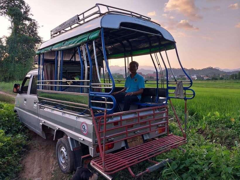 Luang Prabang: Organic Farm Experience & Hike to Kuang si - Meeting rescued bears at the sanctuary