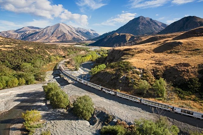Lyttelton Cruise Excursions: Christchurch Sightseeing with Sheep Farm - Cathedral Square and a city still rebuilding
