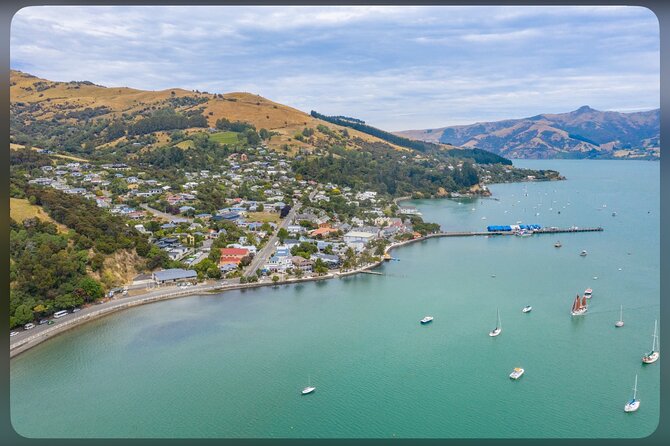 Lyttelton Cruise Excursions: Christchurch Sightseeing with Sheep Farm - Afternoon tea with the farmers