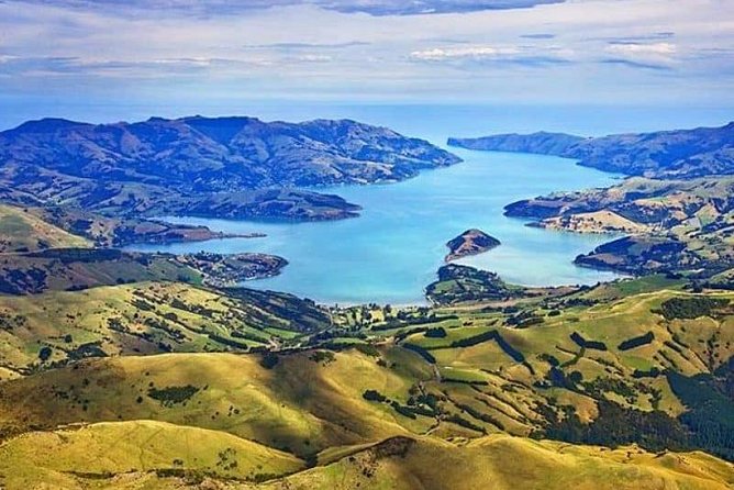 Lyttelton Cruise Excursions: Christchurch Sightseeing with Sheep Farm - How much driving should you expect?