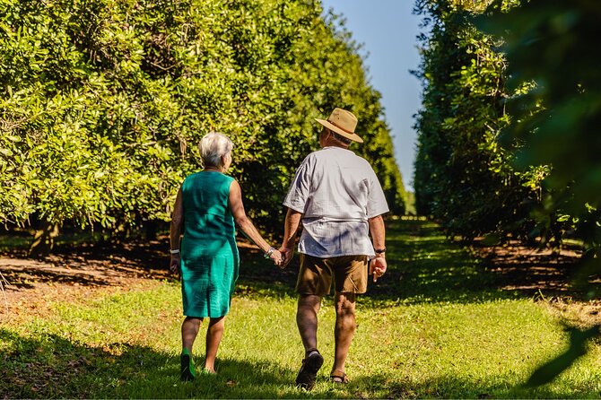 Macadamias Australia Orchard Tour in Bundaberg - Macadamias Australia Orchard Tour at a glance