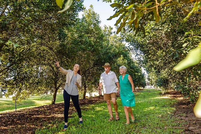 Macadamias Australia Orchard Tour in Bundaberg - Why this Bundaberg orchard visit works