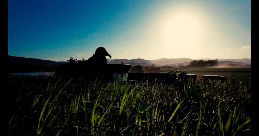 Mackay: 3 Hour Sugarcane Farm Tour - Hands-on cane juice and a simple taste of the crop